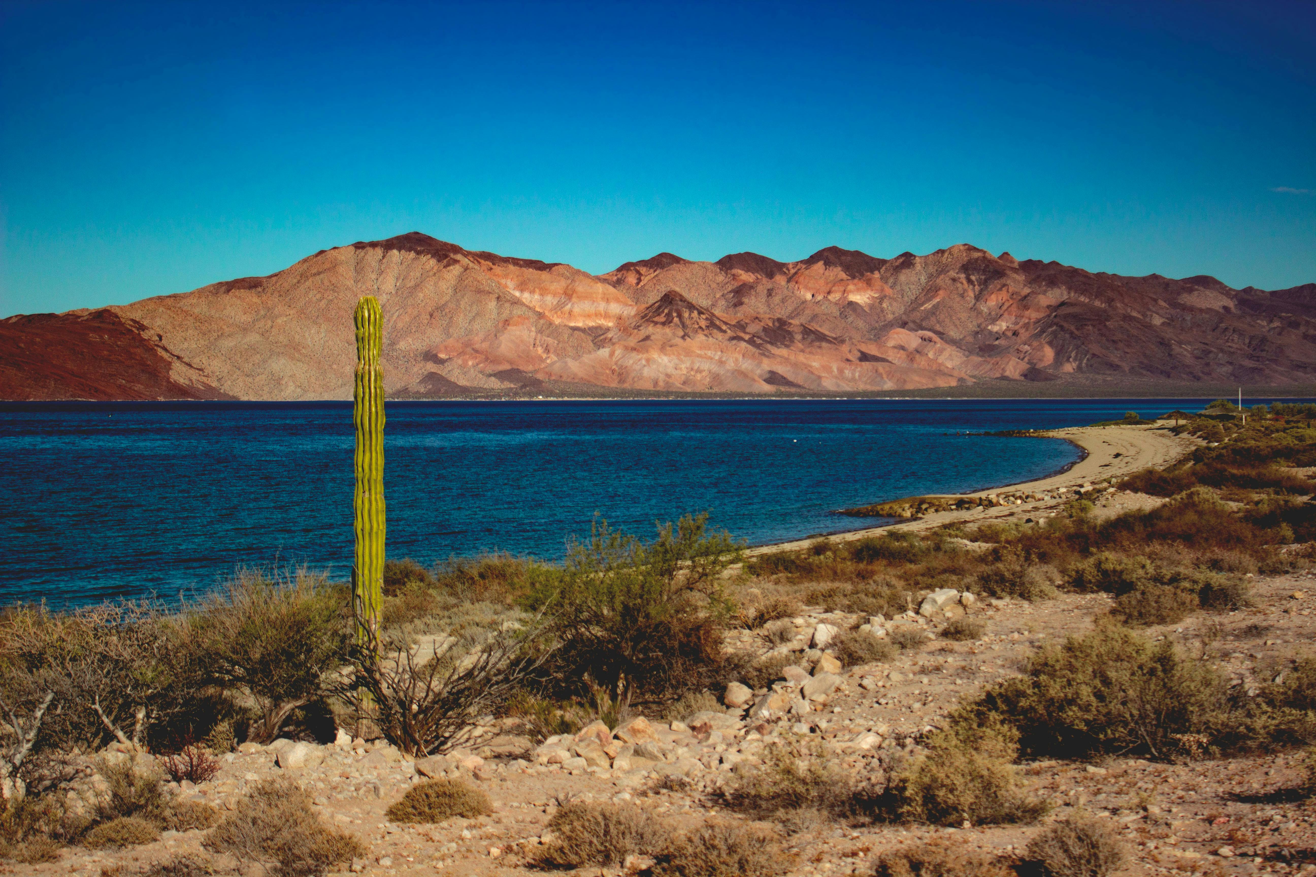 Baja Mountains