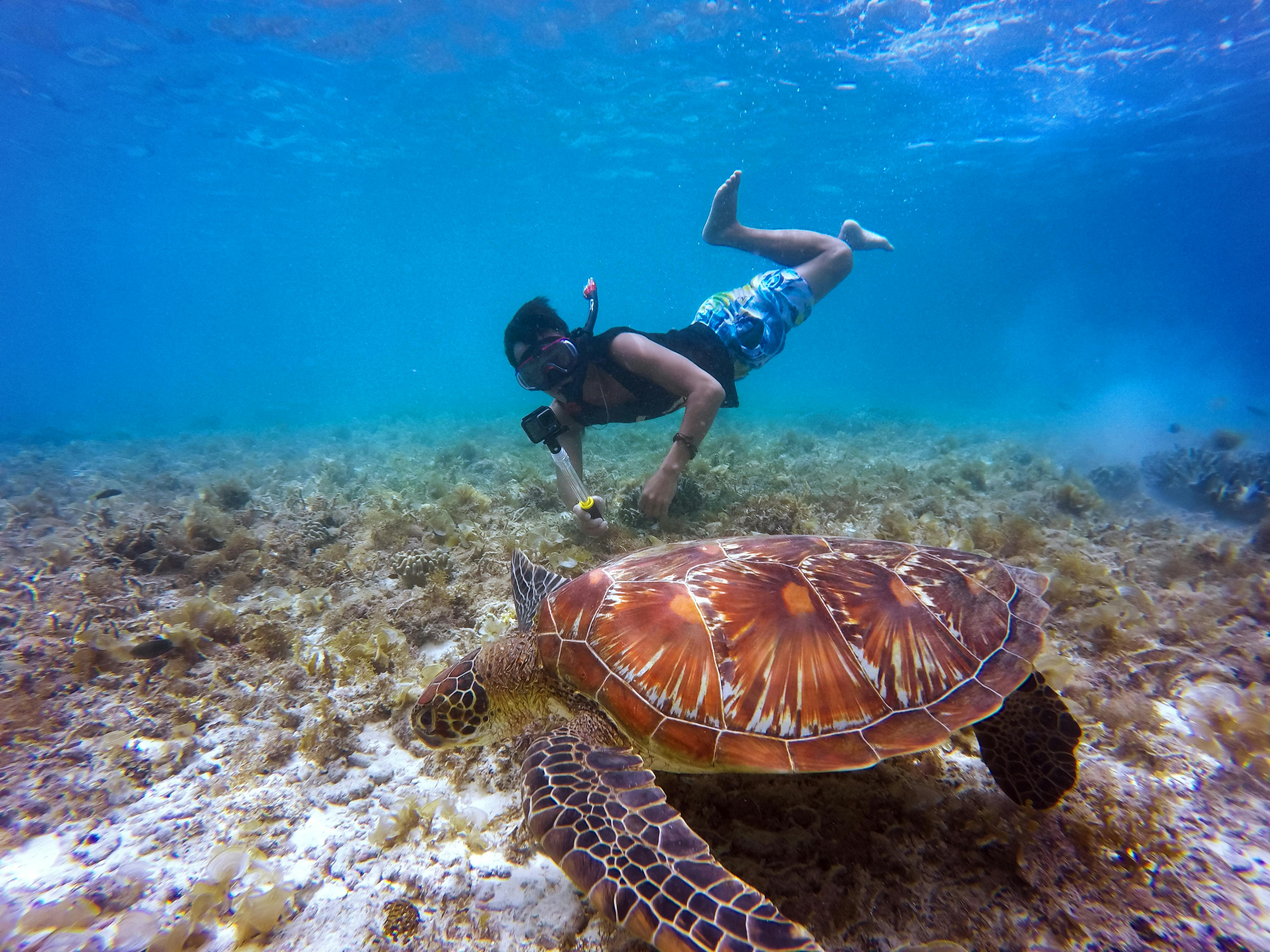 Snorkeling Adventure